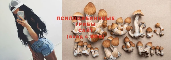 a pvp Баксан