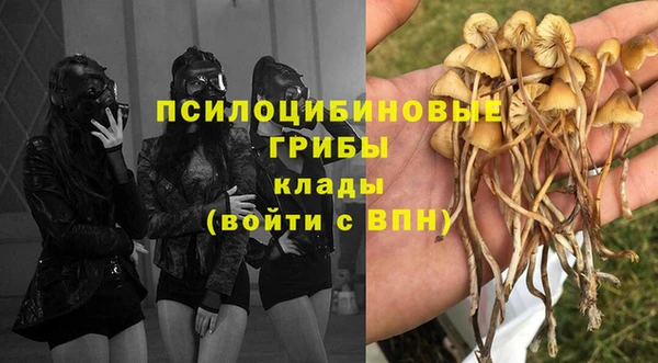 a pvp Баксан